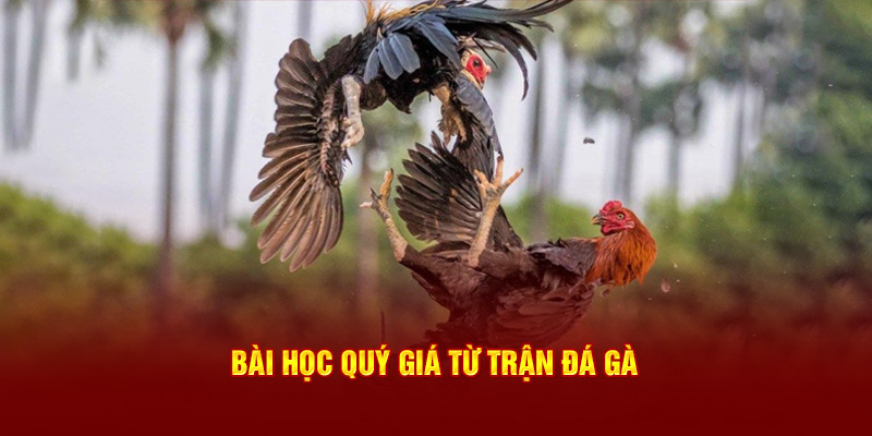 Bài học quý giá từ màn so tài