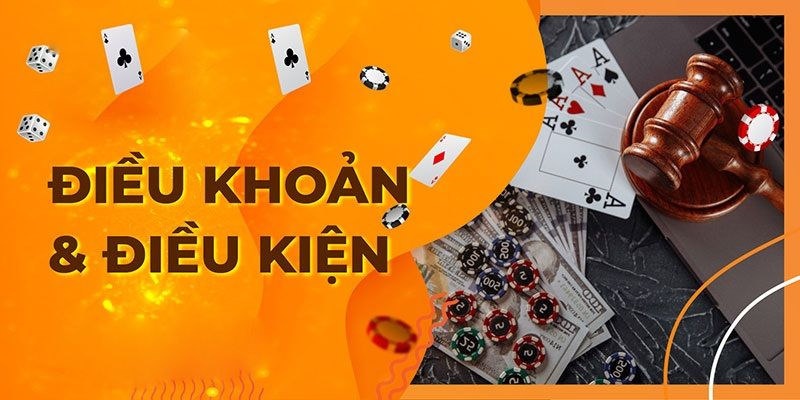 Các quyền lợi của người dùng khi làm đúng điều khoản và điều kiện