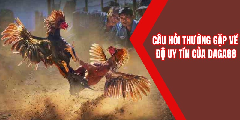 Câu hỏi thường gặp về độ uy tín