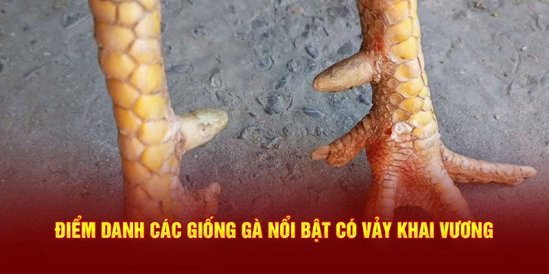 Điểm danh các giống nổi bật có vảy Khai Vương