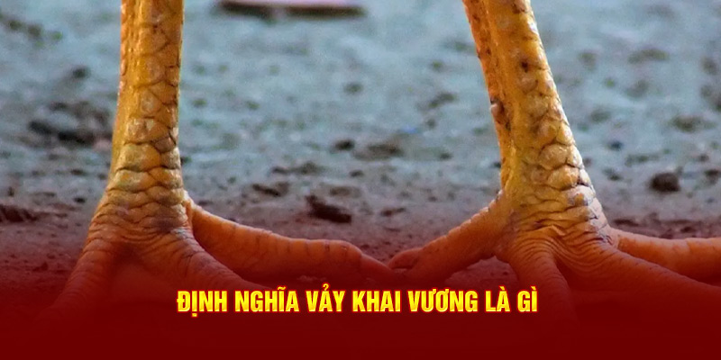 Định nghĩa vảy Khai Vương là gì