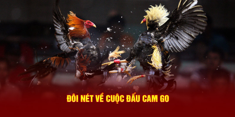 Đôi nét về cuộc đấu cam go