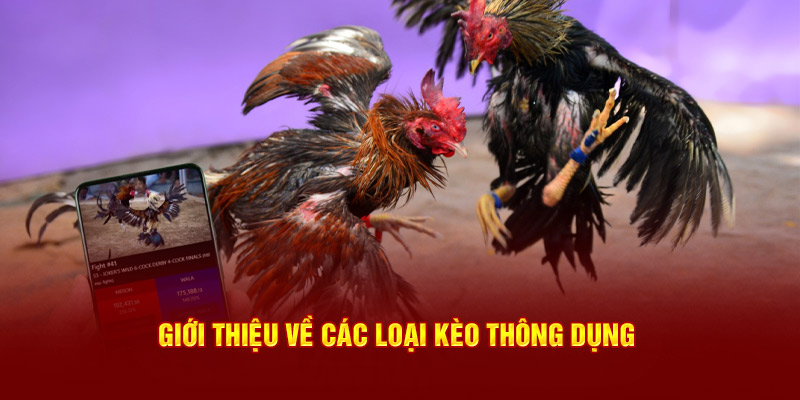 Giới thiệu về các loại kèo thông dụng