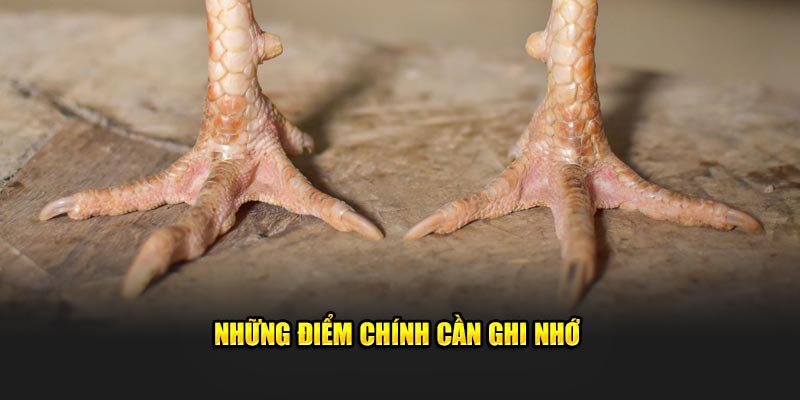 Những điểm chính cần ghi nhớ 