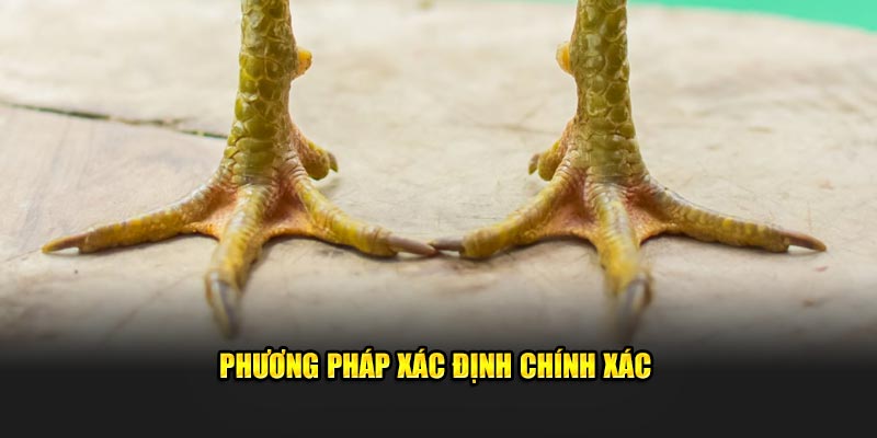 Phương pháp xác định chính xác 