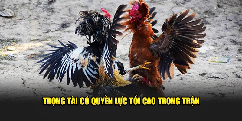  Trọng tài có quyền lực tối cao trong trận