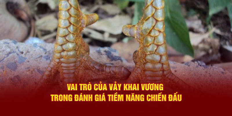 Vai trò của vảy Khai Vương trong đánh giá tiềm năng chiến đấu