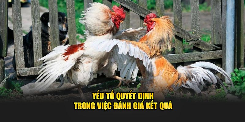 Yếu tố quyết định trong việc đánh giá kết quả