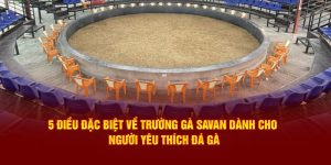 Trường Gà Savan DAGA88: 5 Điều Đặc Biệt Cho Kê Thủ