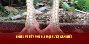 Vảy Phủ Địa DAGA88: 5 Bí Quyết Mà Mọi Sư Kê Cần Phải Biết