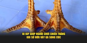 Kinh Nghiệm Giúp Thắng Khi Chiến Kê Có Vảy Gà Song Cúc