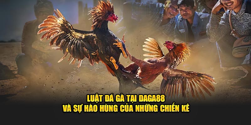 Luật Đá Gà Tại DAGA88 Và Sự Hào Hùng Của Những Chiến Kê