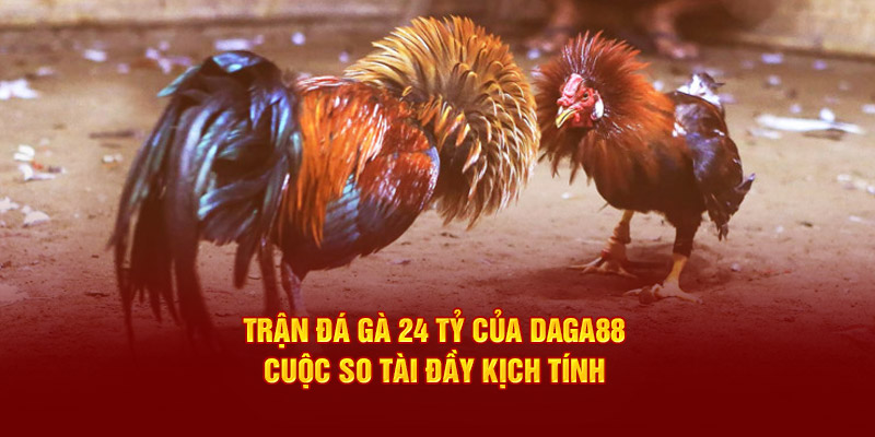 Trận Đá Gà 24 Tỷ Của DAGA88: Cuộc So Tài Đầy Kịch Tính