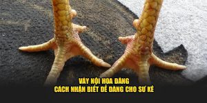 Vảy Nội Hoa Đăng - Thông Tin Quan Trọng Ngay Tại Daga88